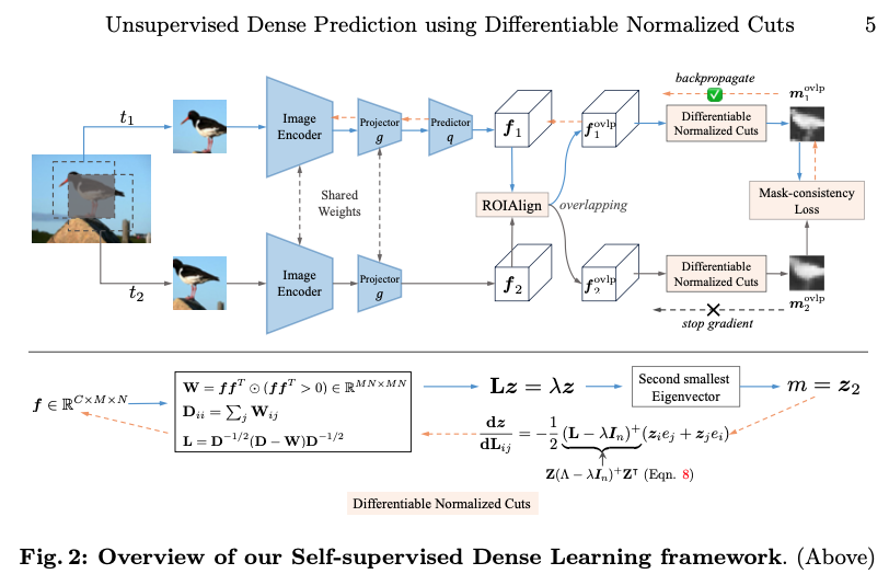 Unsupervised Dense Prediction using Differentiable Normalized Cuts